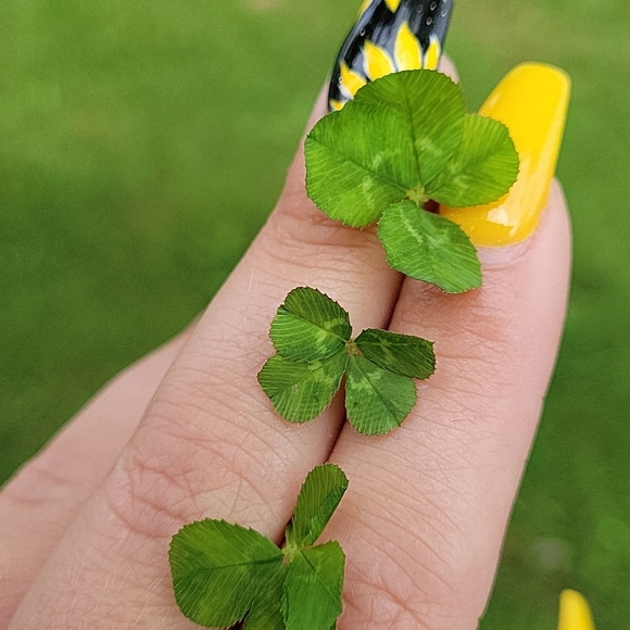 Meet your Posher, Cassandra - Picture 4 of 4